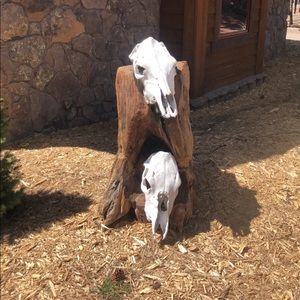 Meet your Posher, Kevin